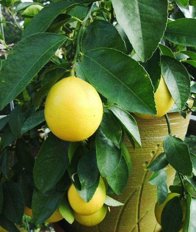 Превью изображения