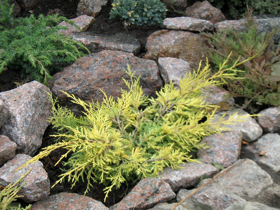 Превью изображения