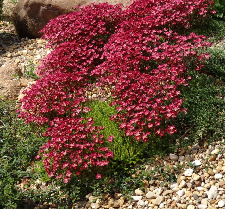 Превью изображения