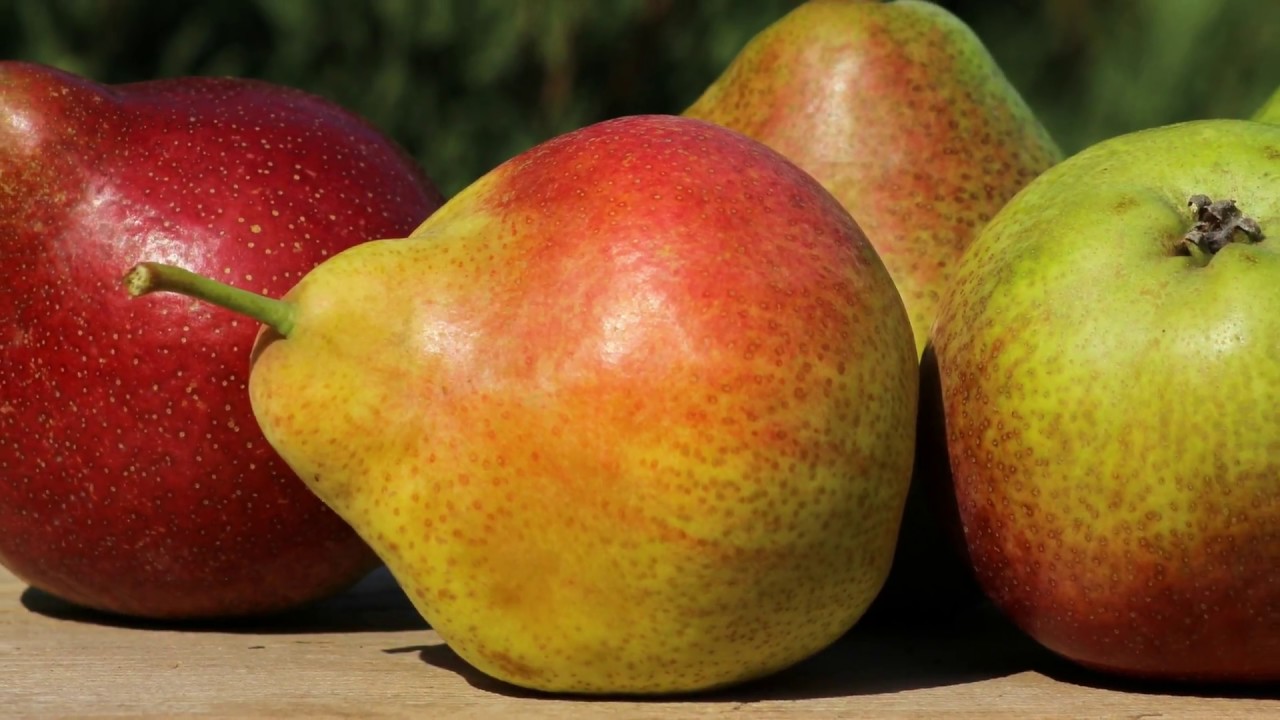 Превью изображения