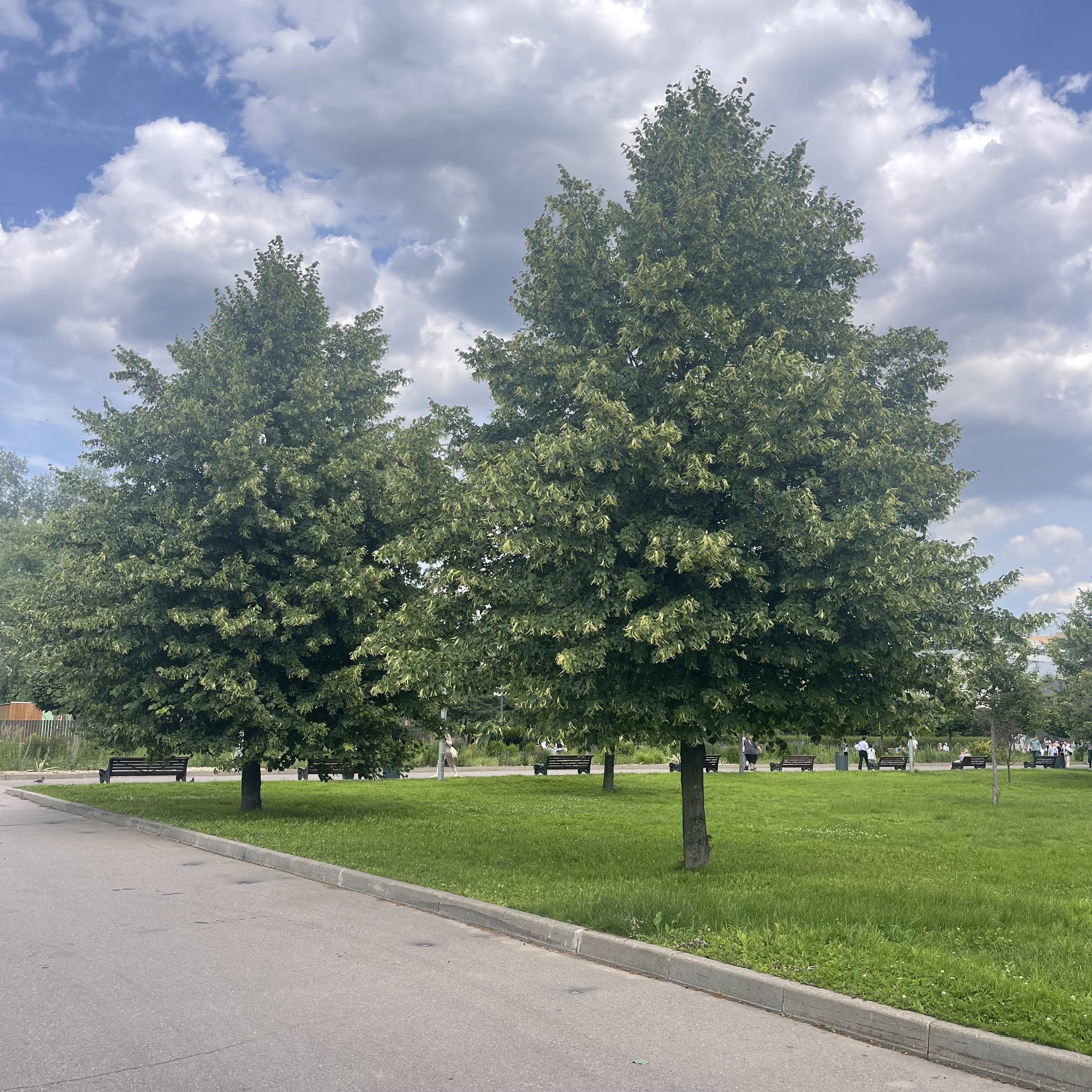 Превью изображения