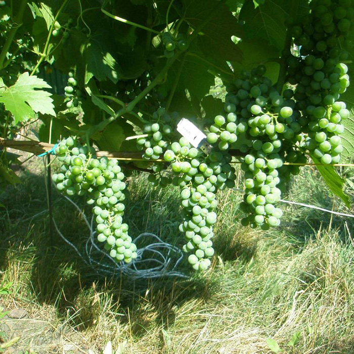 Превью изображения