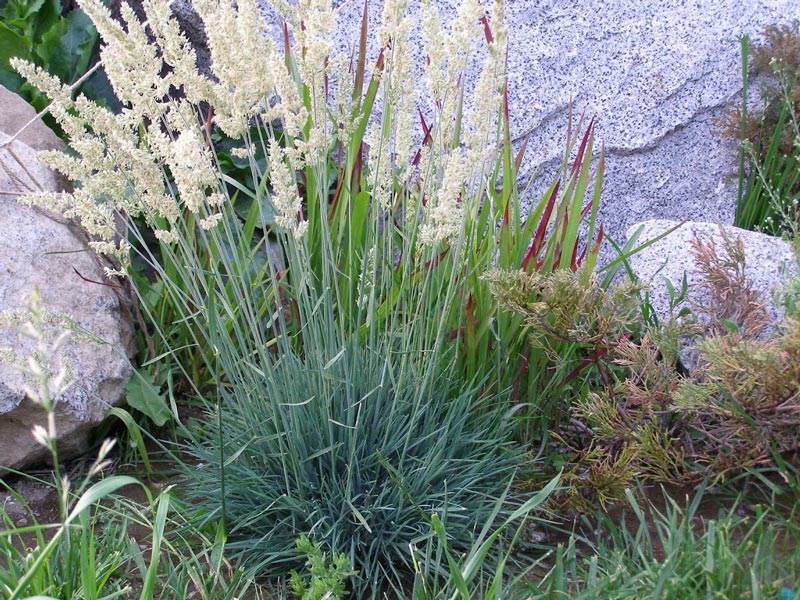 Превью изображения