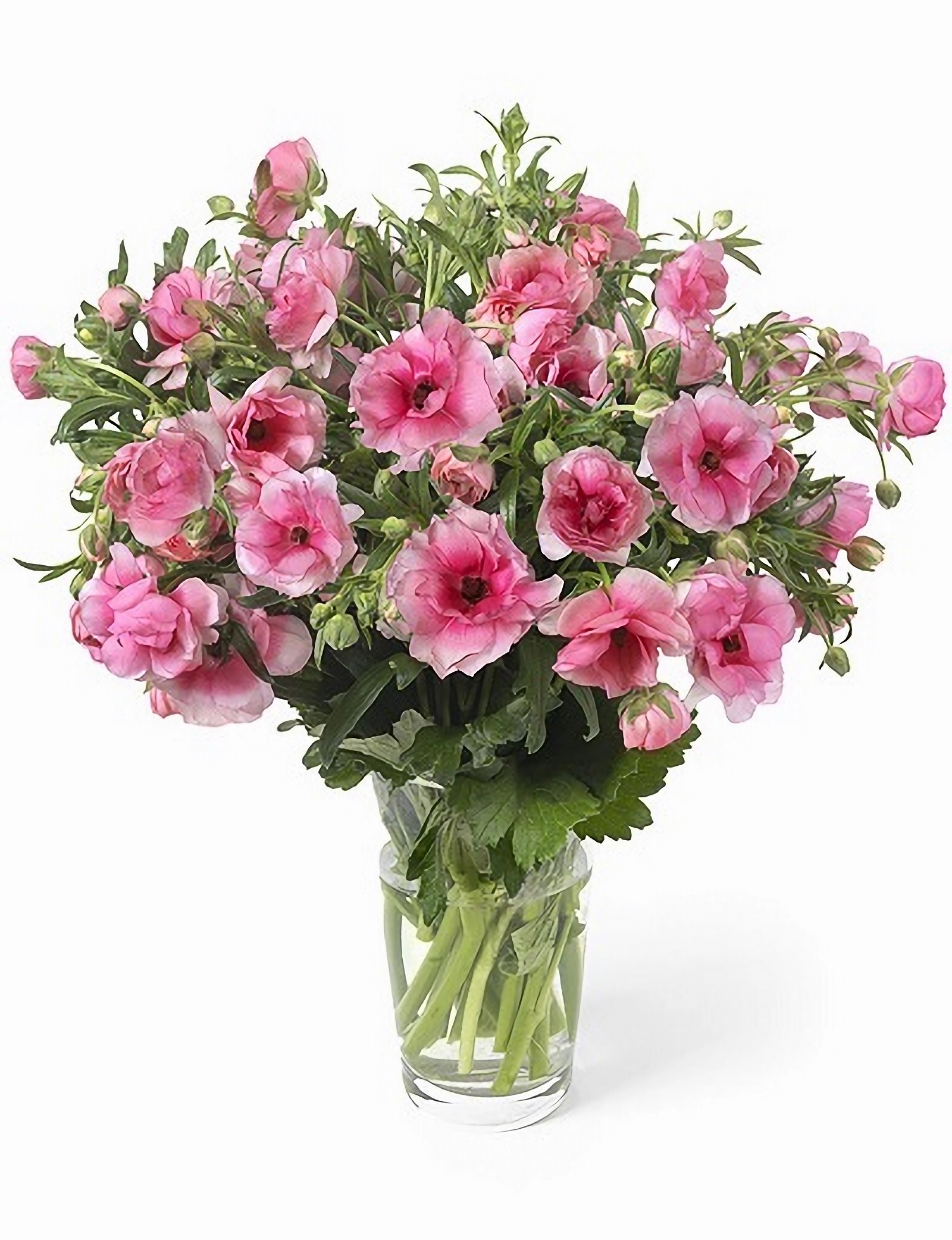 Превью изображения