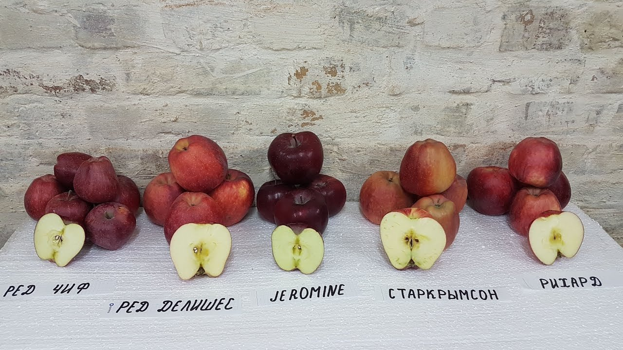 Превью изображения