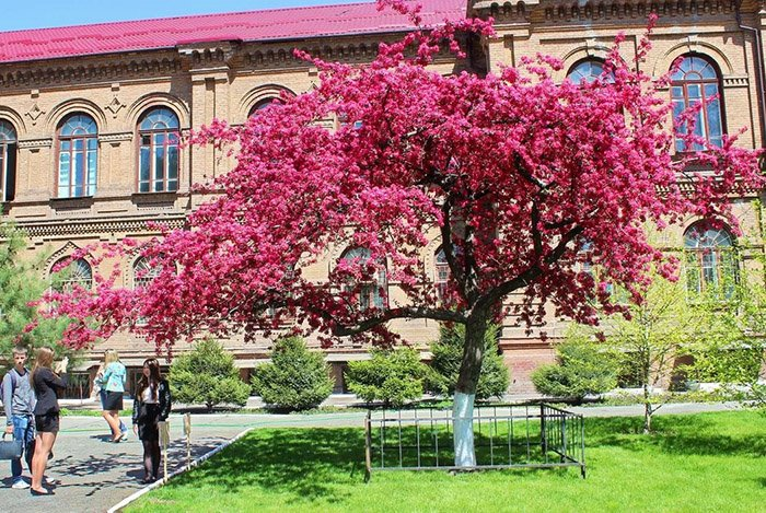 Превью изображения