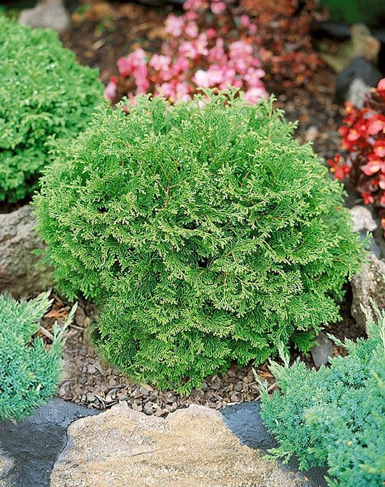 Превью изображения