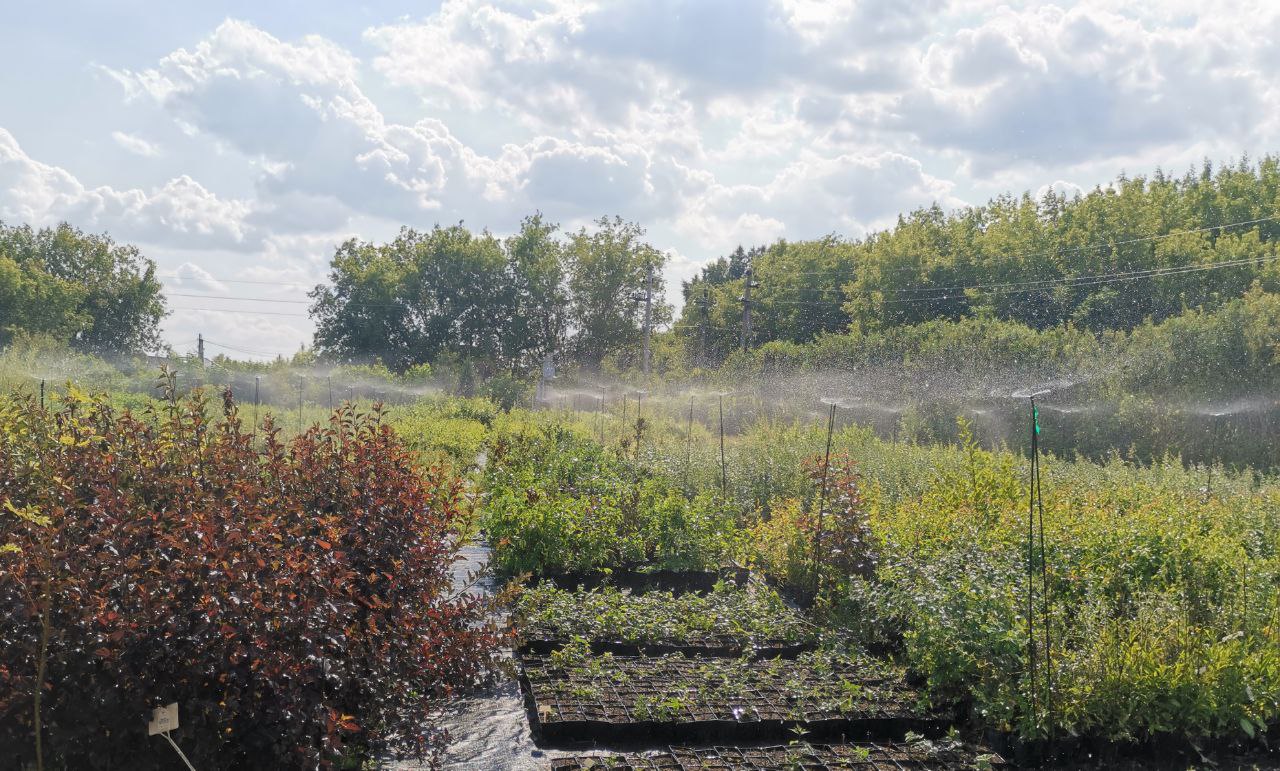 Превью изображения