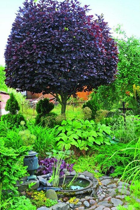 Превью изображения