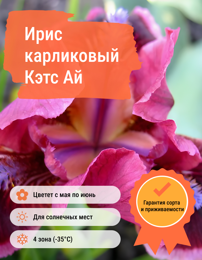 Превью изображения