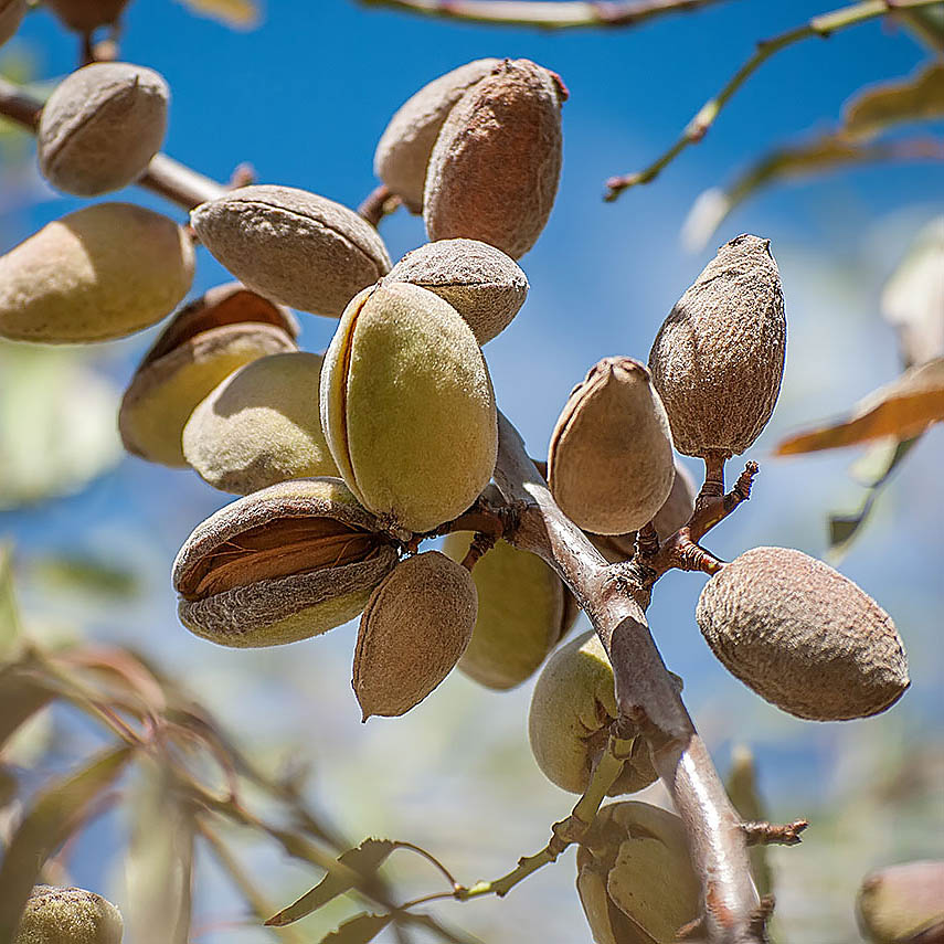 Превью изображения
