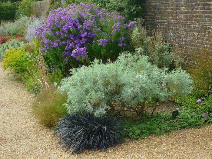 Превью изображения