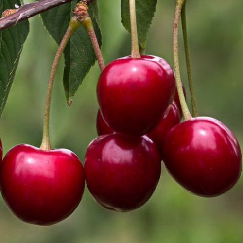 Превью изображения