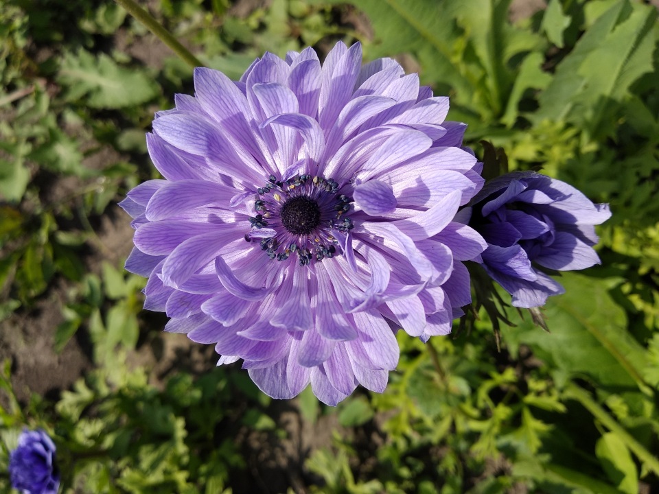 Превью изображения