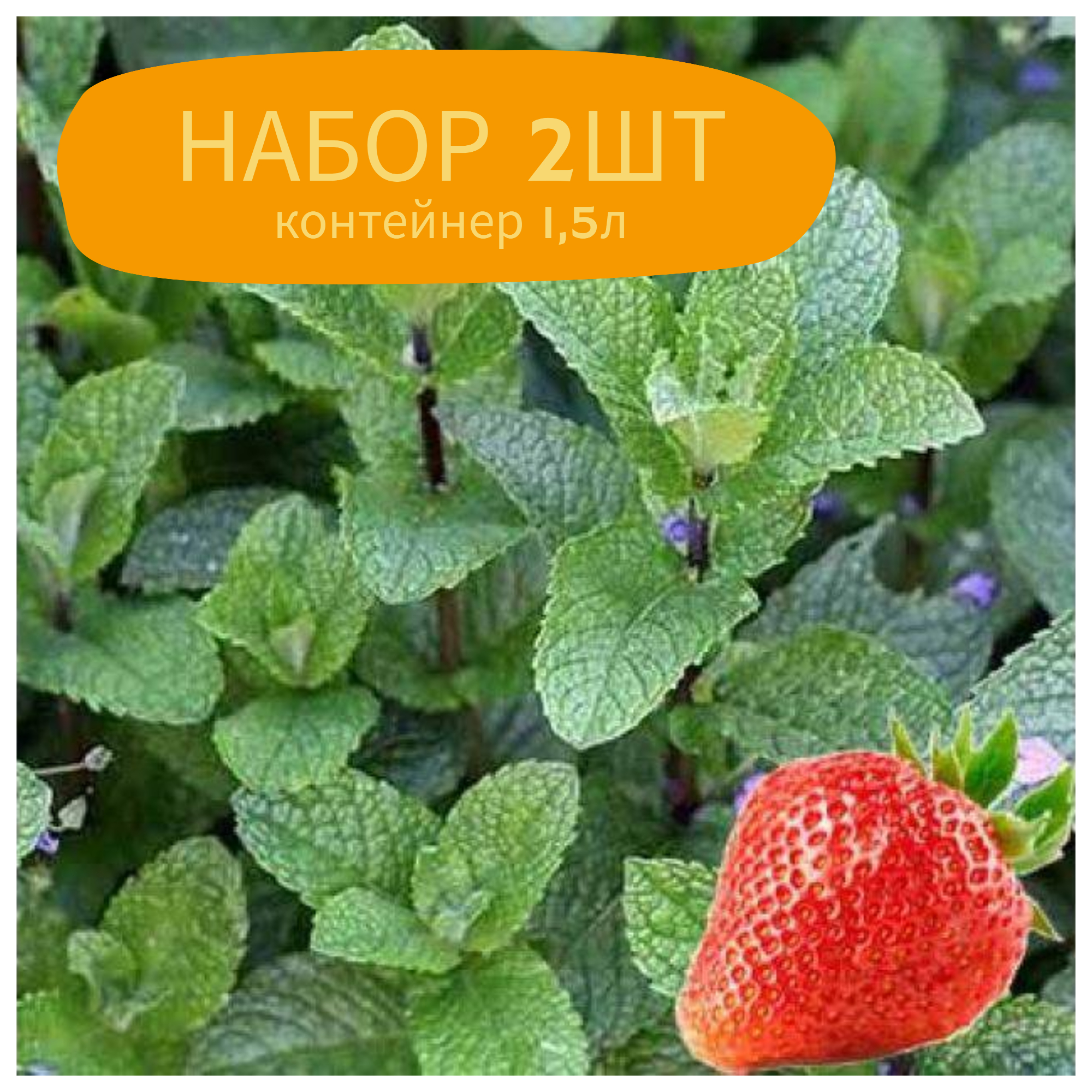 Превью изображения