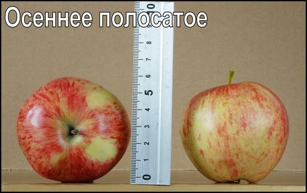 Превью изображения