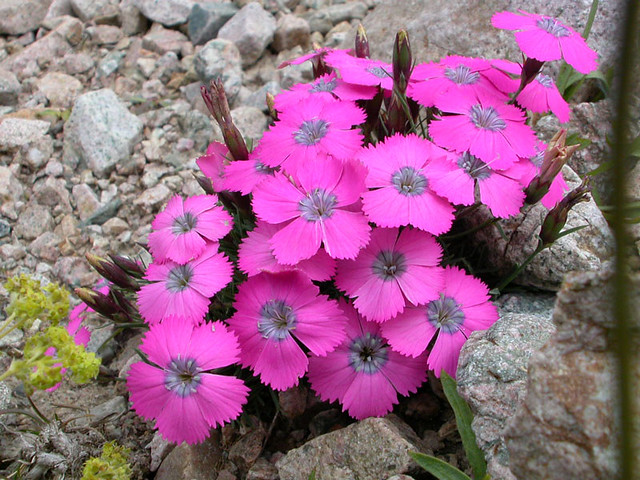 Превью изображения