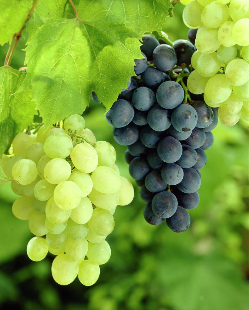 Превью изображения