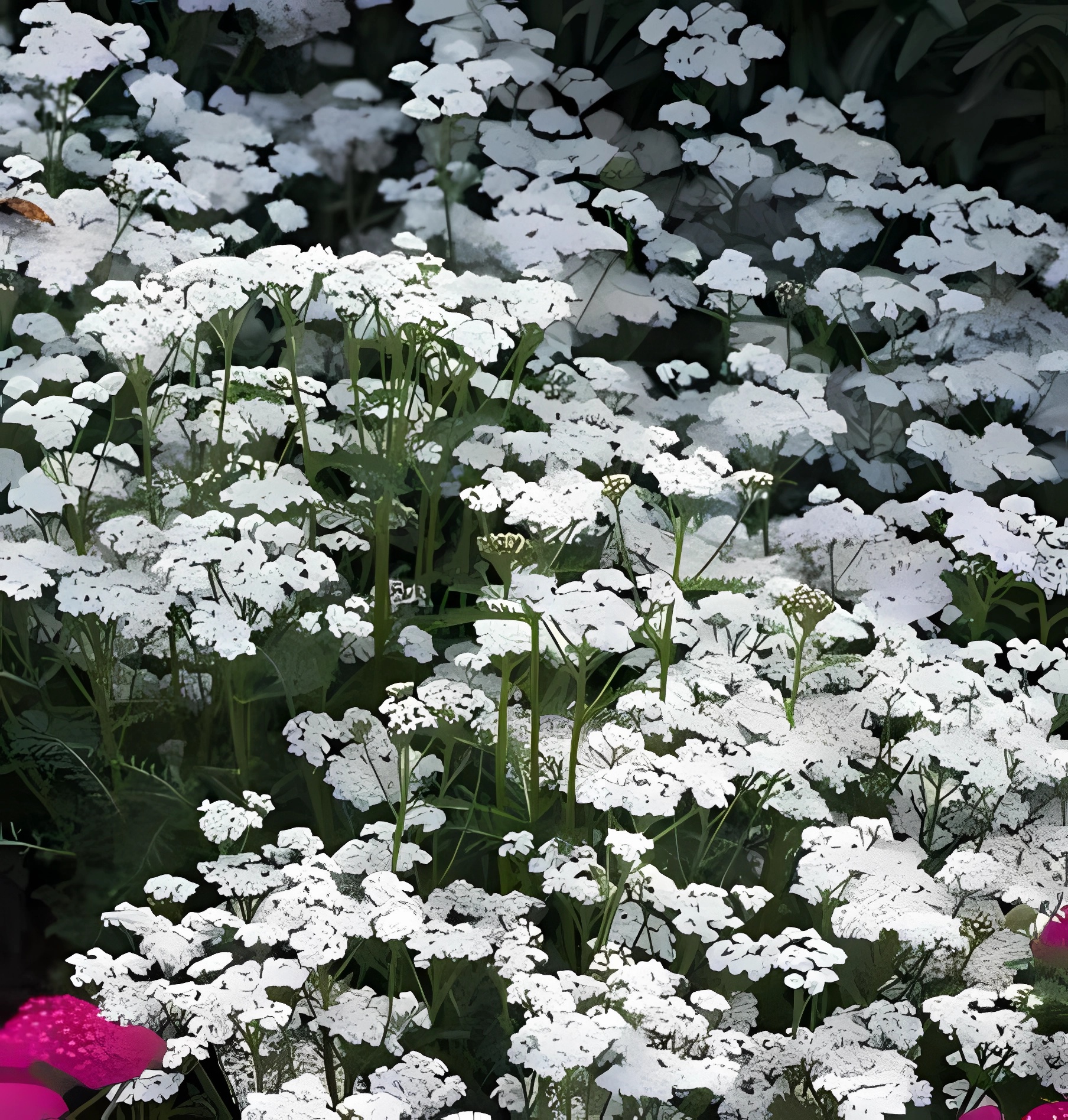 Превью изображения