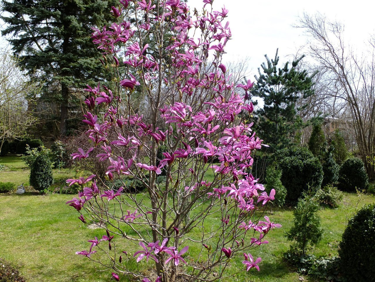 Превью изображения