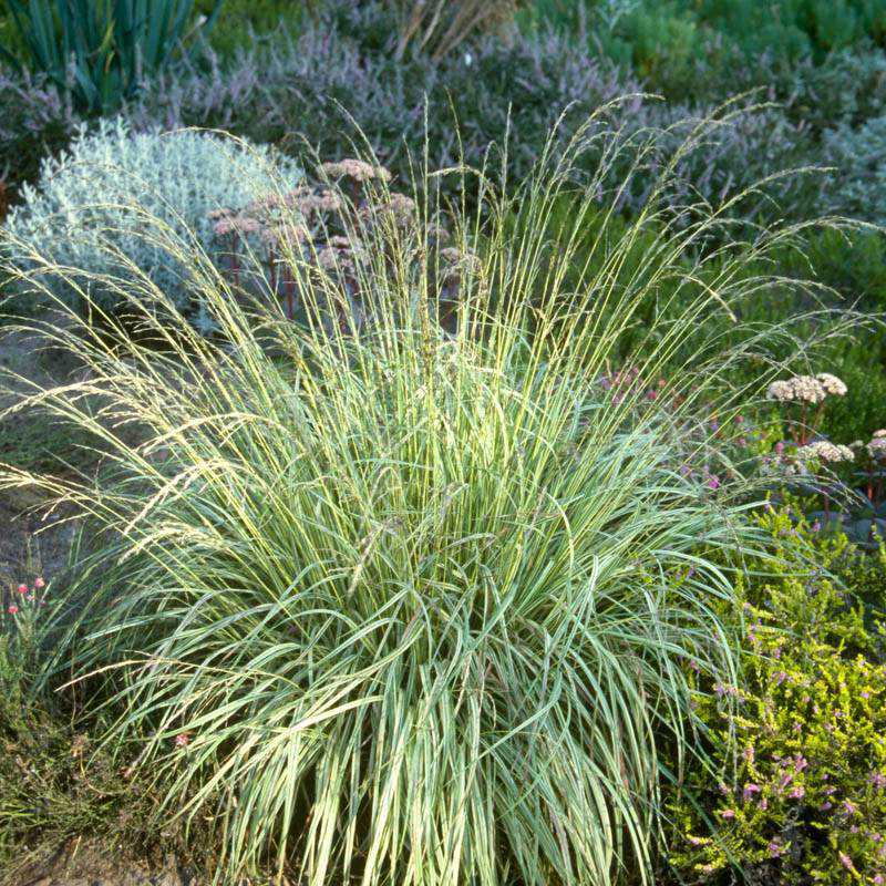 Превью изображения