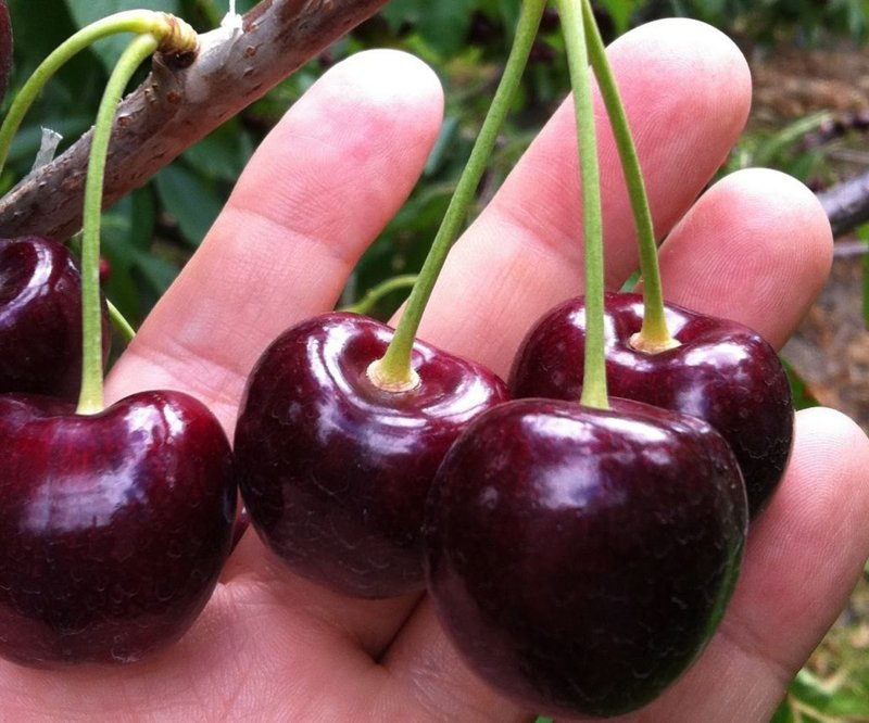 Превью изображения