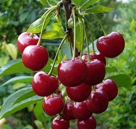 Превью изображения