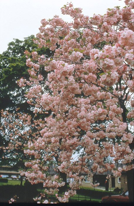 Превью изображения