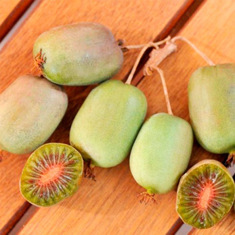 Превью изображения