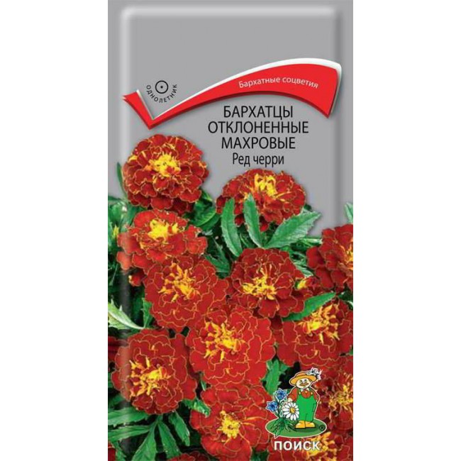 Превью изображения