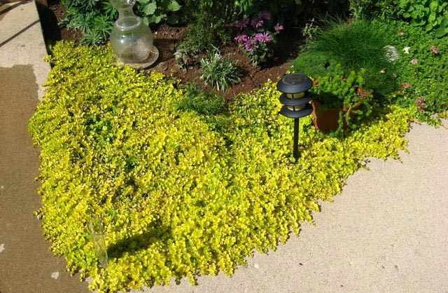 Превью изображения