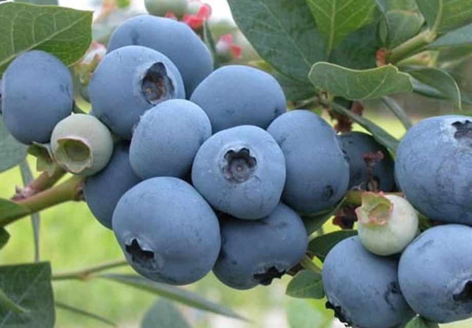 Превью изображения