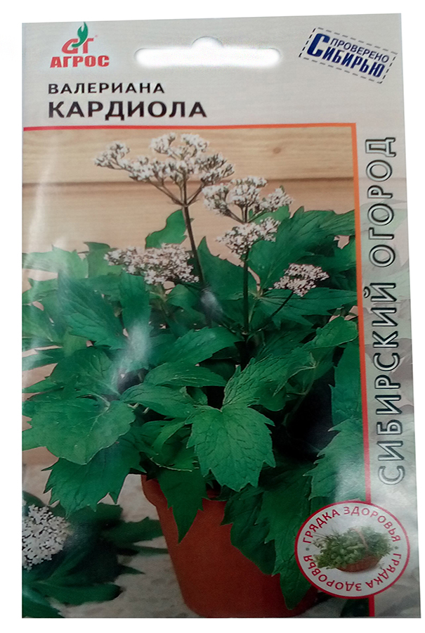 Превью изображения