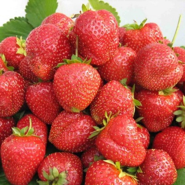 Превью изображения