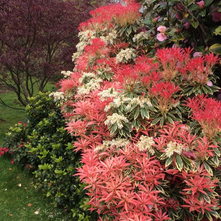 Превью изображения