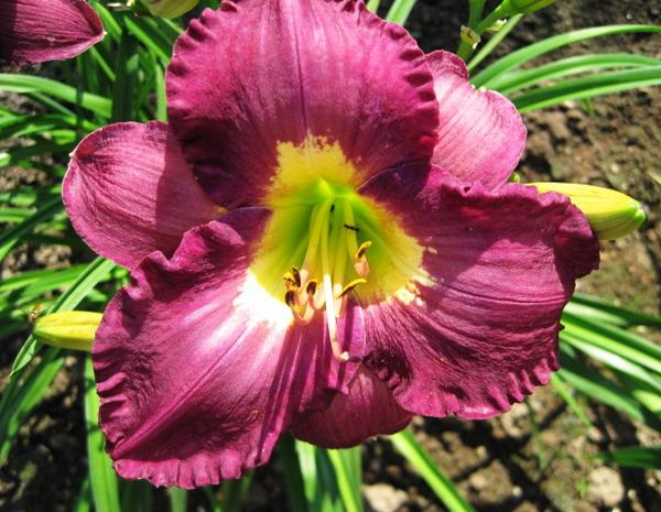 Превью изображения