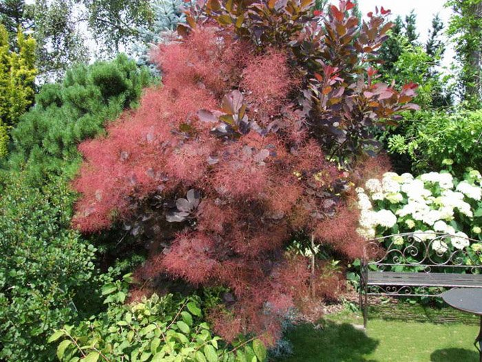 Превью изображения