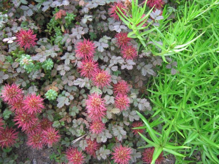 Превью изображения