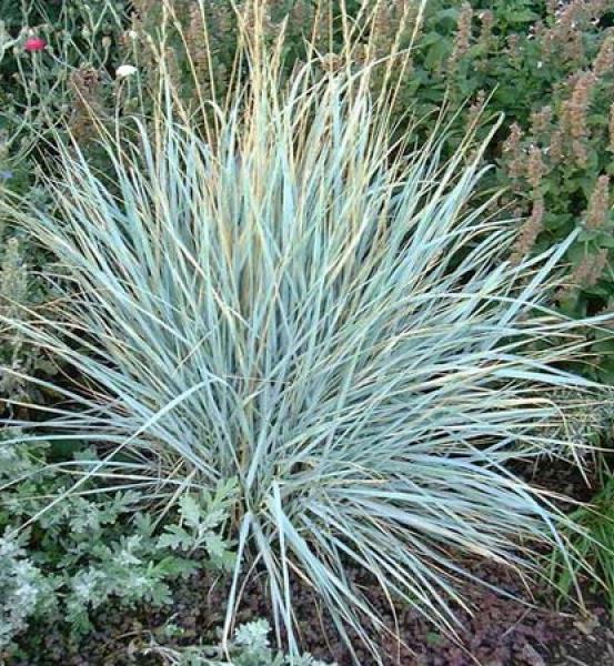 Превью изображения