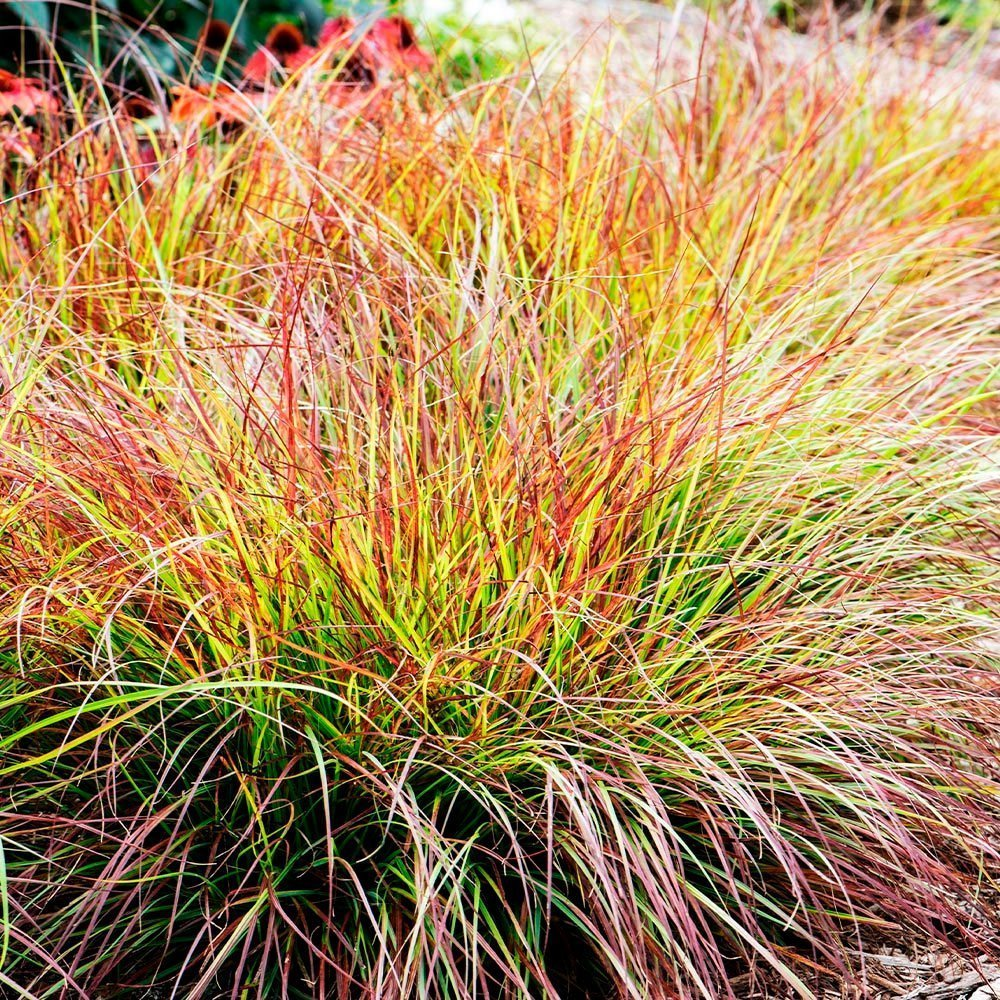 Превью изображения