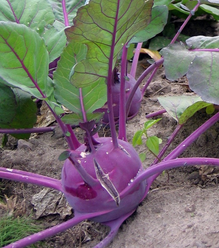 Превью изображения