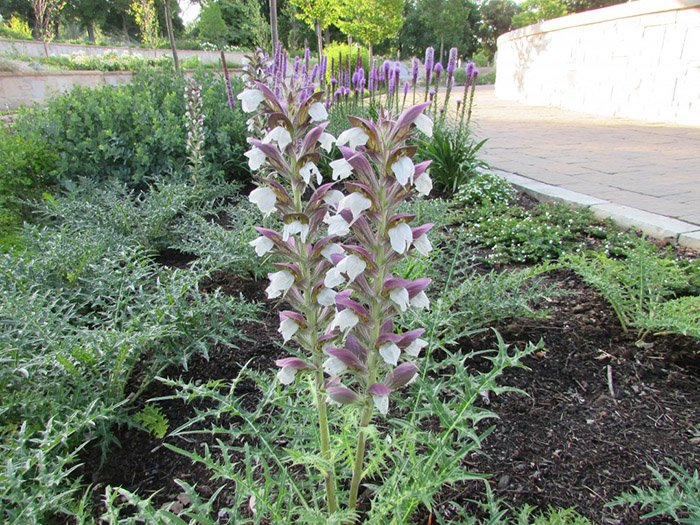 Превью изображения