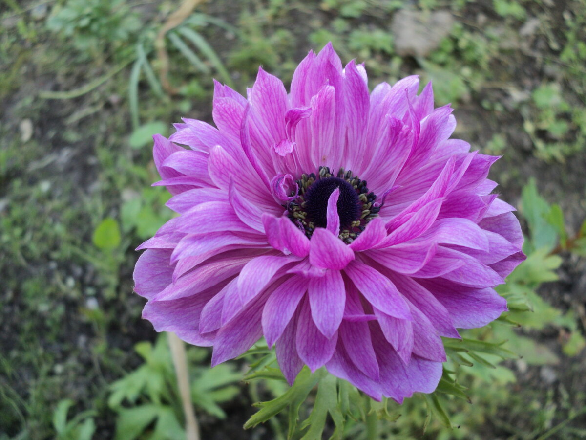 Превью изображения