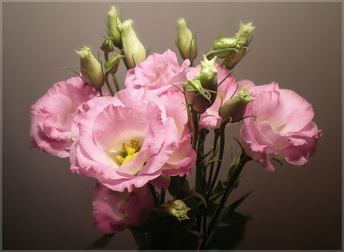 Превью изображения