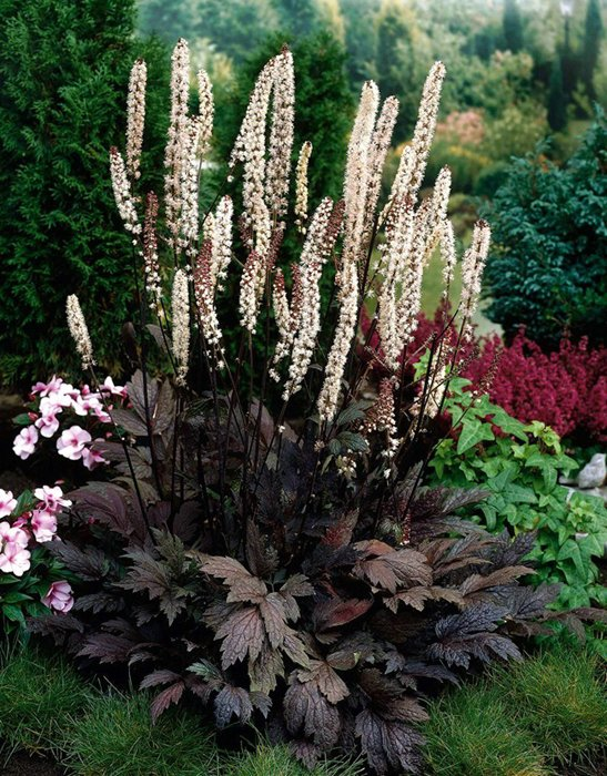 Превью изображения