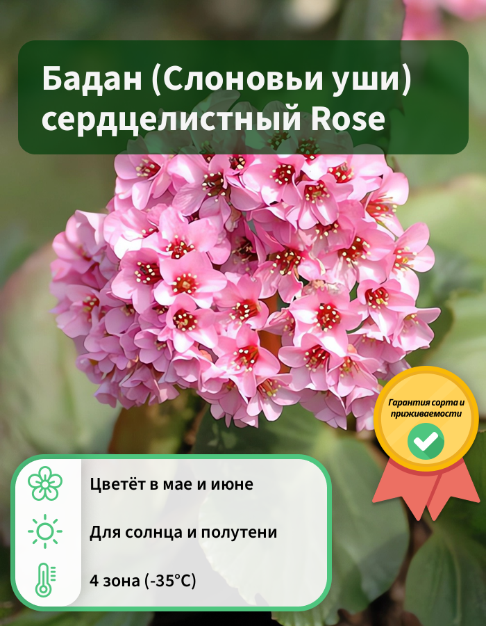 Превью изображения