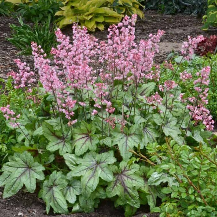 Превью изображения