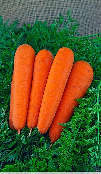 Превью изображения