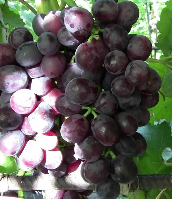 Превью изображения