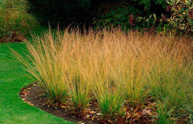 Превью изображения